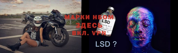 стаф Липки