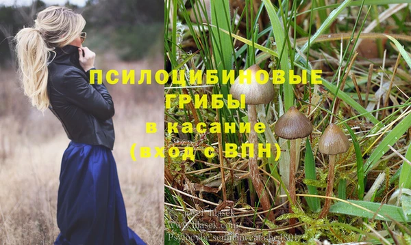 стаф Липки