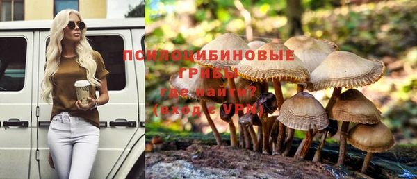 стаф Липки