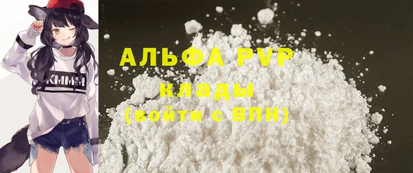 стаф Липки