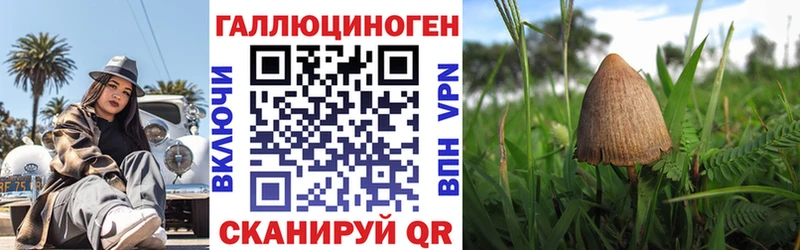 Псилоцибиновые грибы Psilocybine cubensis  купить   Омутнинск 