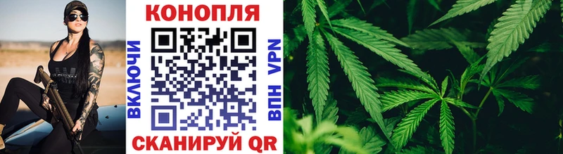 ОМГ ОМГ ТОР  Омутнинск  Каннабис Amnesia 